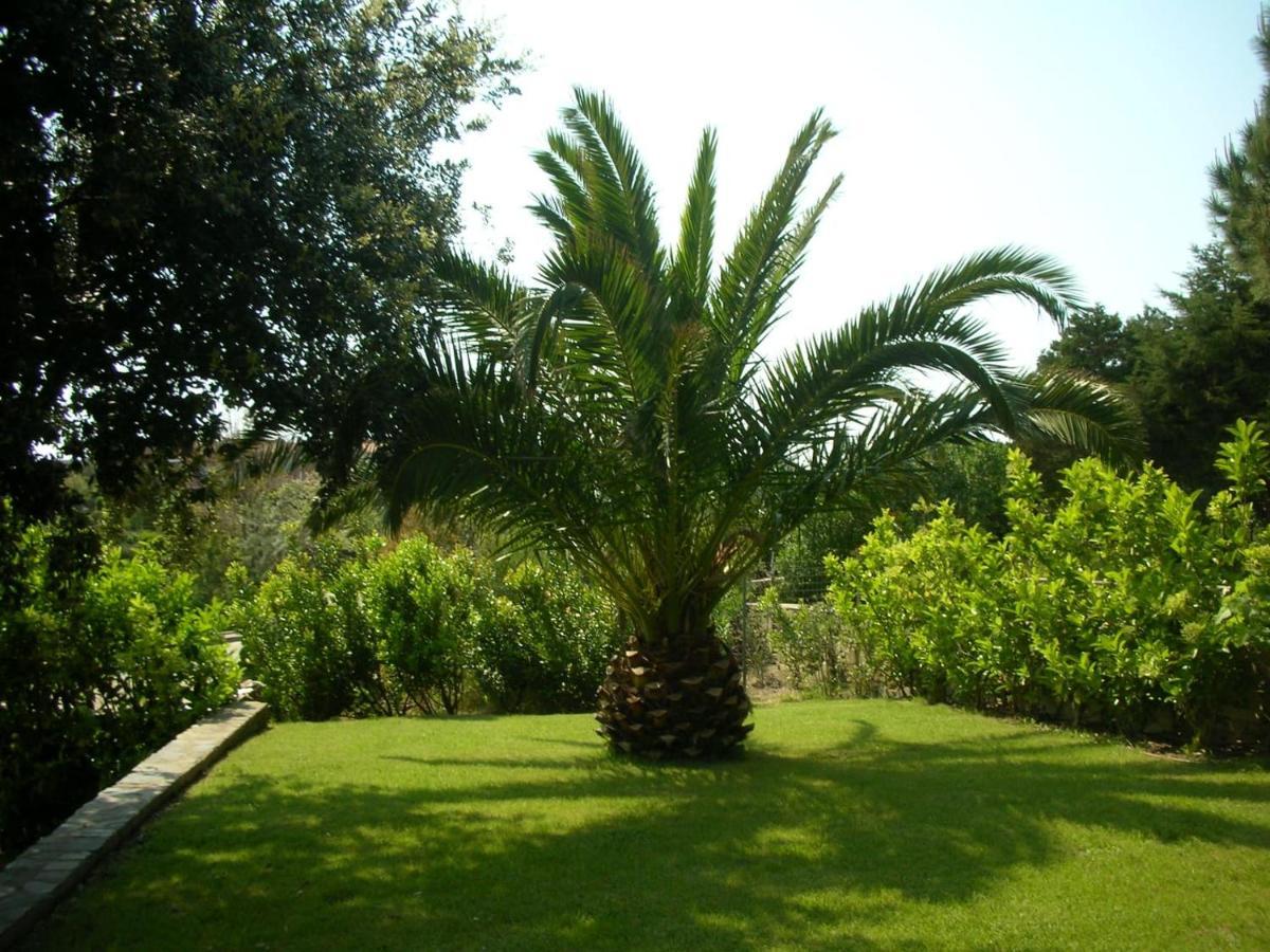 Appartamento Sole E Mare Stintino Kültér fotó