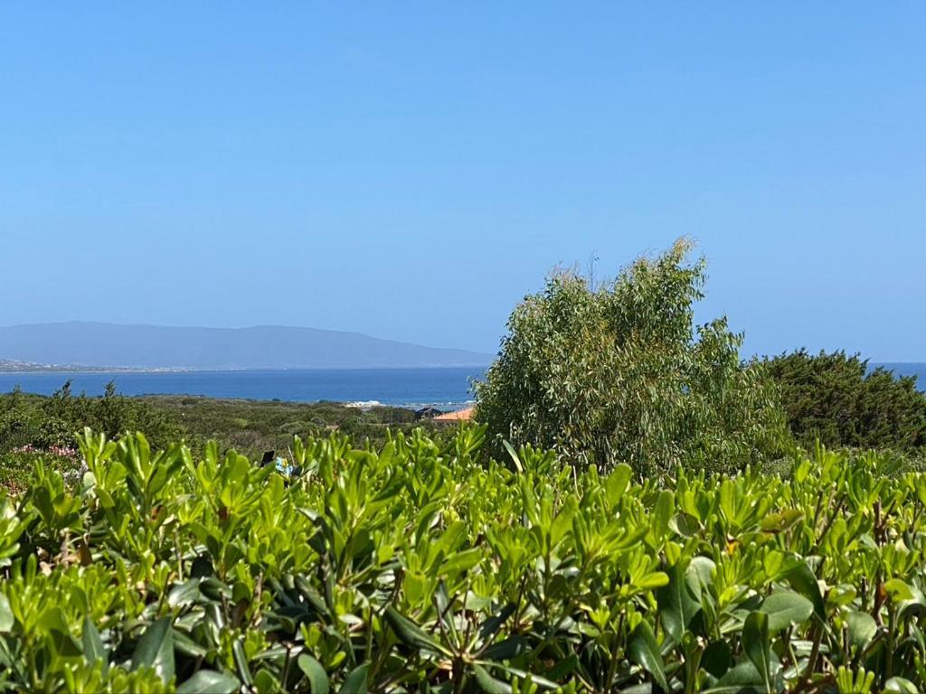 Appartamento Sole E Mare Stintino Kültér fotó